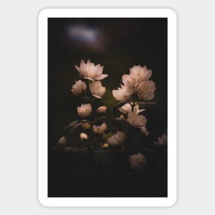 Moody Mock orange Sticker